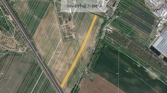 Prodej pole v k.ú. Kostice