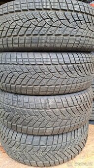 225/50R19 zimní