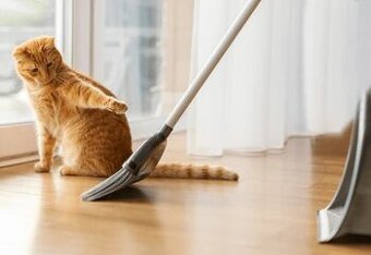 Brigáda u Ronova nad Doubravou