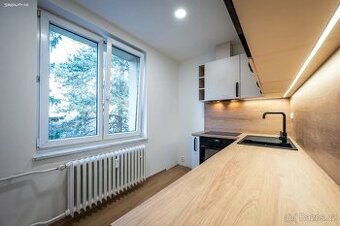 Pronájem bytu 2+1 53 m² Púchovská, Praha