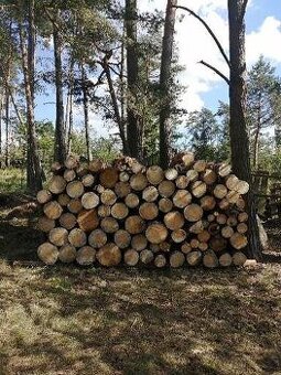 Palivové dřevo