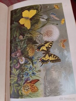 Brehms Thierleben 1887