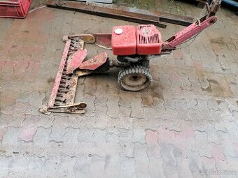 Tera - 1