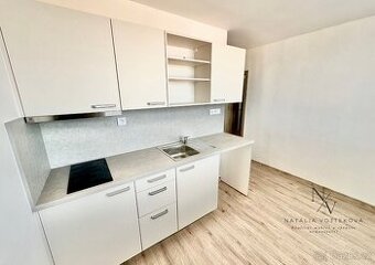 Pronájem bytu 1+1 ul. Kamínky, Brno, výhled na Brno