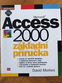 Microsoft Access 2000 - základní příručka.