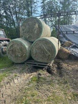 Seno kulaté balíky 150