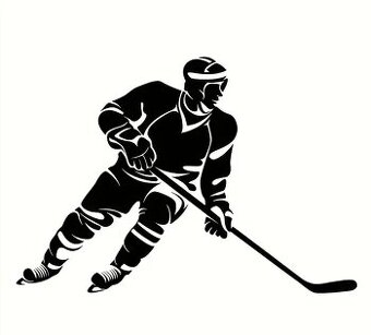 HC Sparta Praha x HC Vítkovice Ridera 21.12.25 VIP klubové p