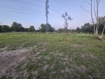 Pronajem pole kone ,ne prodej