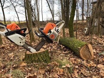 Nabídka prořezávky/kácení/rizikového kácení.