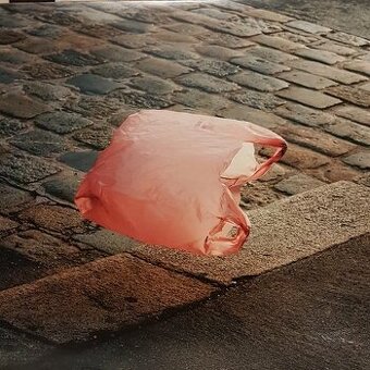 Ant Antic – Good Vids, Vile Times