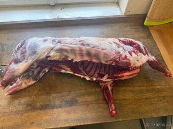 Prodám jehňata ,cena za kg po vyvrženi a stahnuti