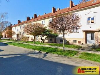 Hustopeče, byt OV 2+1, výhled do zeleně, krbová kamna, po re