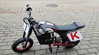 INDIAN eFTR Mini