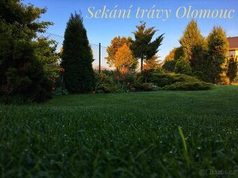 Sekání trávy Olomouc