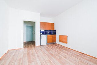 Byt k pronájmu 1+kk, Halasovo náměstí 3, Lesná, 23 m2