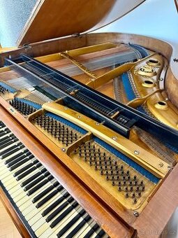 Prodám křídlo Gebrüder Stingl Wien