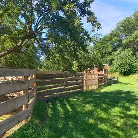 Zahrada ve Strašicích u Rokycan oplocený sad 1500Kč/měsíc