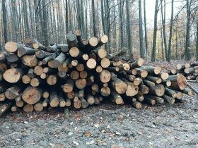 Palivové dřevo tvrdé Zlín - 1