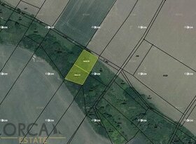 Aukce 0,3 ha pozemků v k.ú. Chotiněves