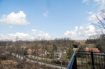 Byt v rodinném domě 3+kk (novostavba)