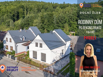 Prodej, rodinný dům, 1164 m2, Dolní žleb