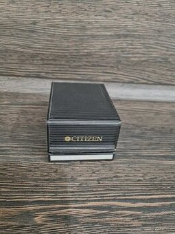citizen eco drive titanium e110 H24610 TA WR100