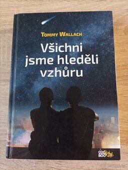 Všichni jsme hleděli vzhůru