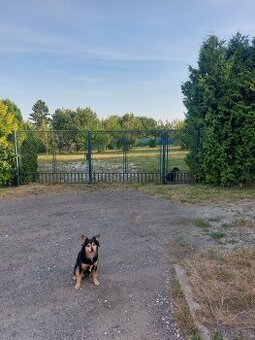Prodej stavebního pozemku Blatná, možno 2 parcely