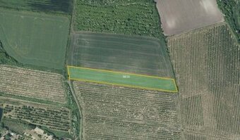 Zemědělská půda, prodej, Želkovice, Louny