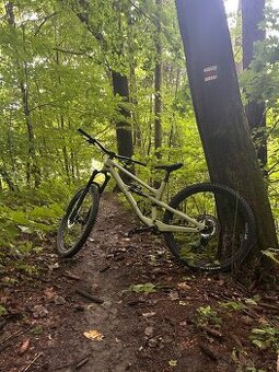 Canyon Spectral CF8 (2023) - 1