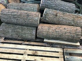 Prodám dubové dřevo - 1