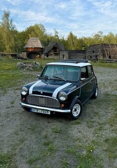 Austin Rover Mini 1000