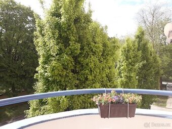 Prodej cihlového bytu 1+kk ,34 m2 s balkonem - Brno Bystrc n
