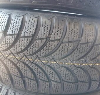 Nexen Winguard SnowG, WH2 - 195/60 R16 89H