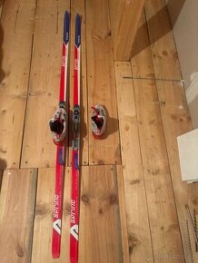 boty na běžky Alpins