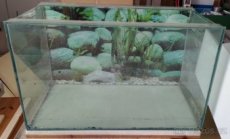 akvarium (terarium) 140 litrů - 1