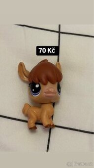 Lps lama - 1