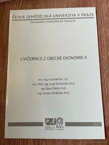 Cvičebnice z obecné ekonomie II - Brčák