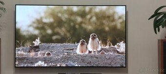 Smart TV LG Oled 55A13LA