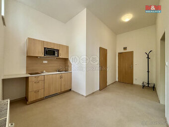 Pronájem bytu 1+1, 45 m², Ostrava, ul. Ruská