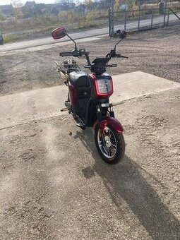 Elektromoped Golden Lion