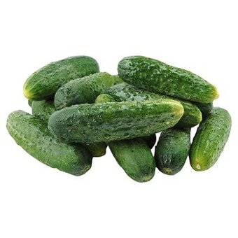 Okurky nakládačky BIO