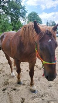 Provazová ohlávka xfull