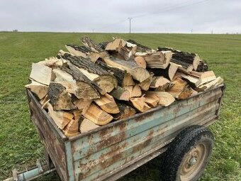 Palivové dřevo (měkké)