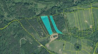 Prodám lesní pozemky Vitice u Vodňan