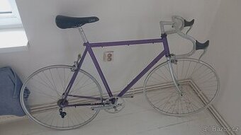 Singlespeed projekt kolo