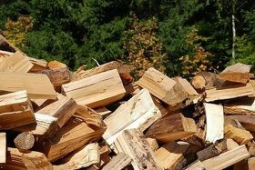 Palivové dřevo tvrdé,měkké, suché - 1