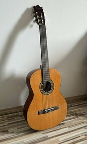 Kytara Salvador Ibanez GA3NJP AM - 1