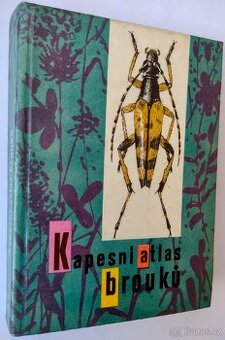 Atlas brouků (kapesní)