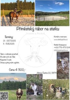 Příměstský tábor na statku